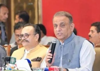 Abdul Aleem Khan stresses on establishment of new provinces